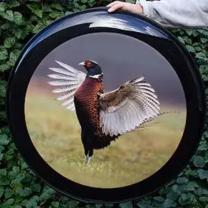 Pheasant Wheel Cover Pheasant Wheel Cover